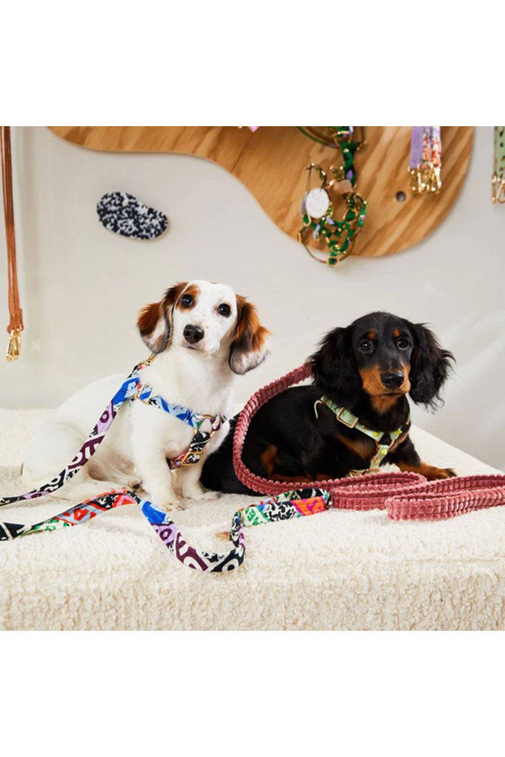 NICE DIGS JUMBO CORD LEASH