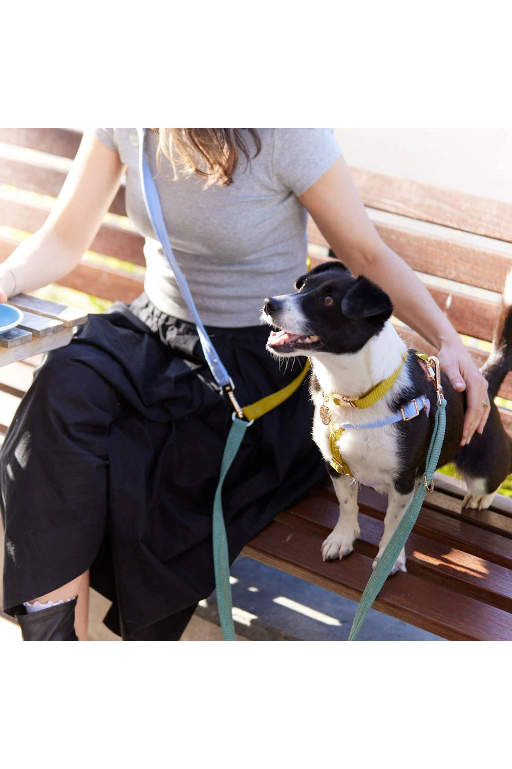 NICE DIGS CORD ADJUSTABLE DOG LEASH