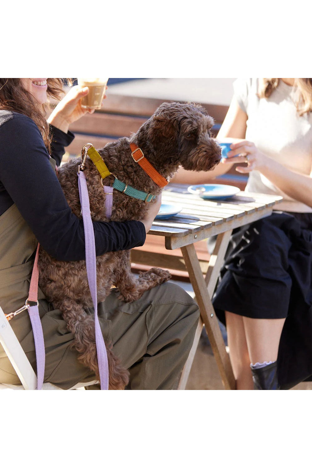 NICE DIGS CORD ADJUSTABLE DOG LEASH