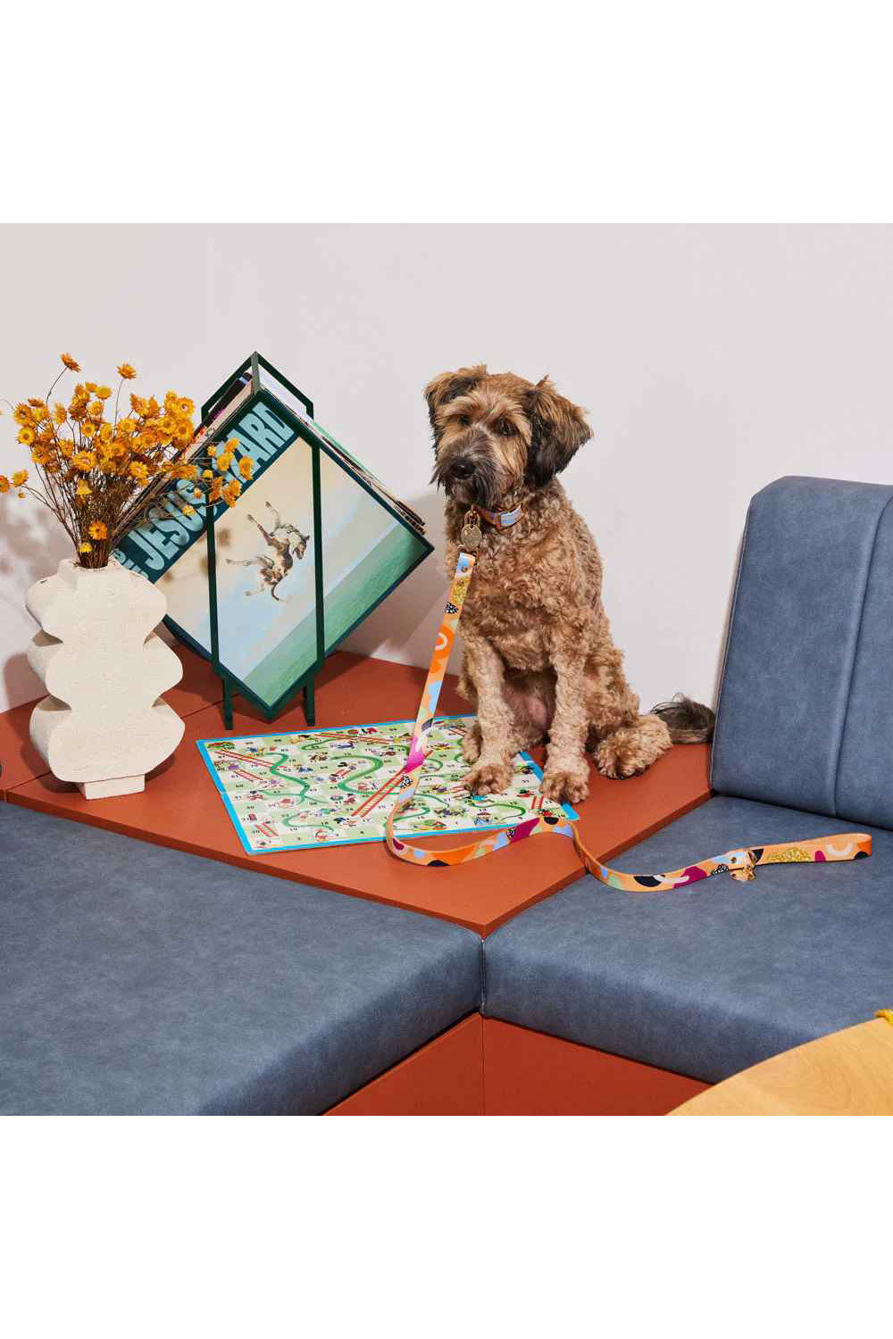 NICE DIGS SNAKES AND LADDERS LEATHER DOG LEASH