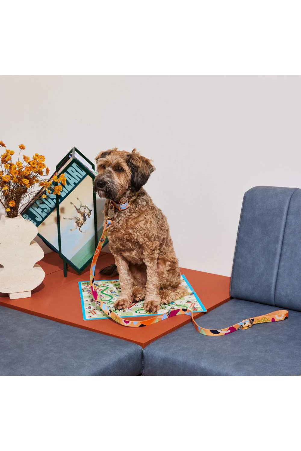 NICE DIGS SNAKES AND LADDERS LEATHER DOG LEASH