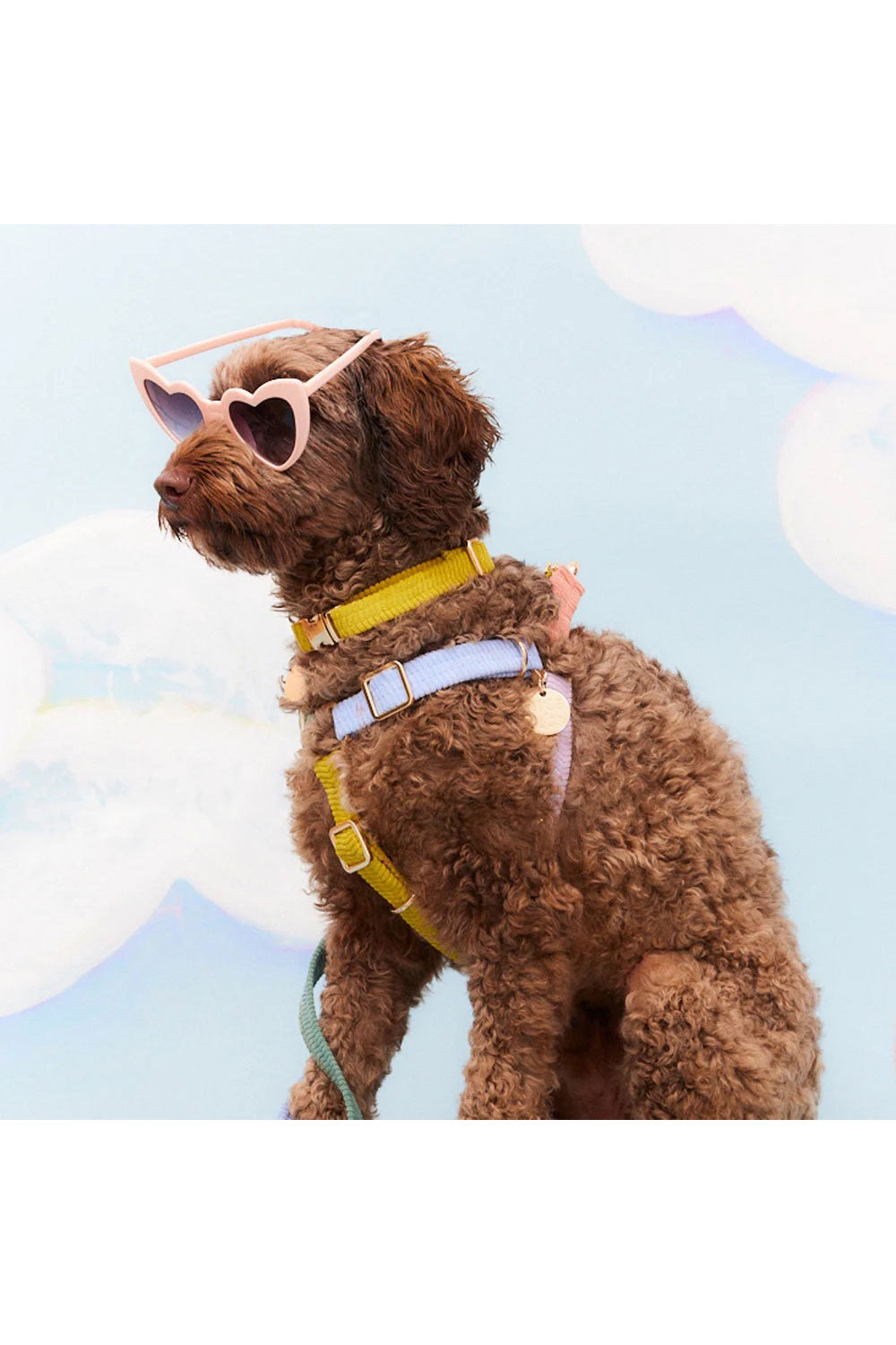 NICE DIGS CORD NON-PULL DOG HARNESS
