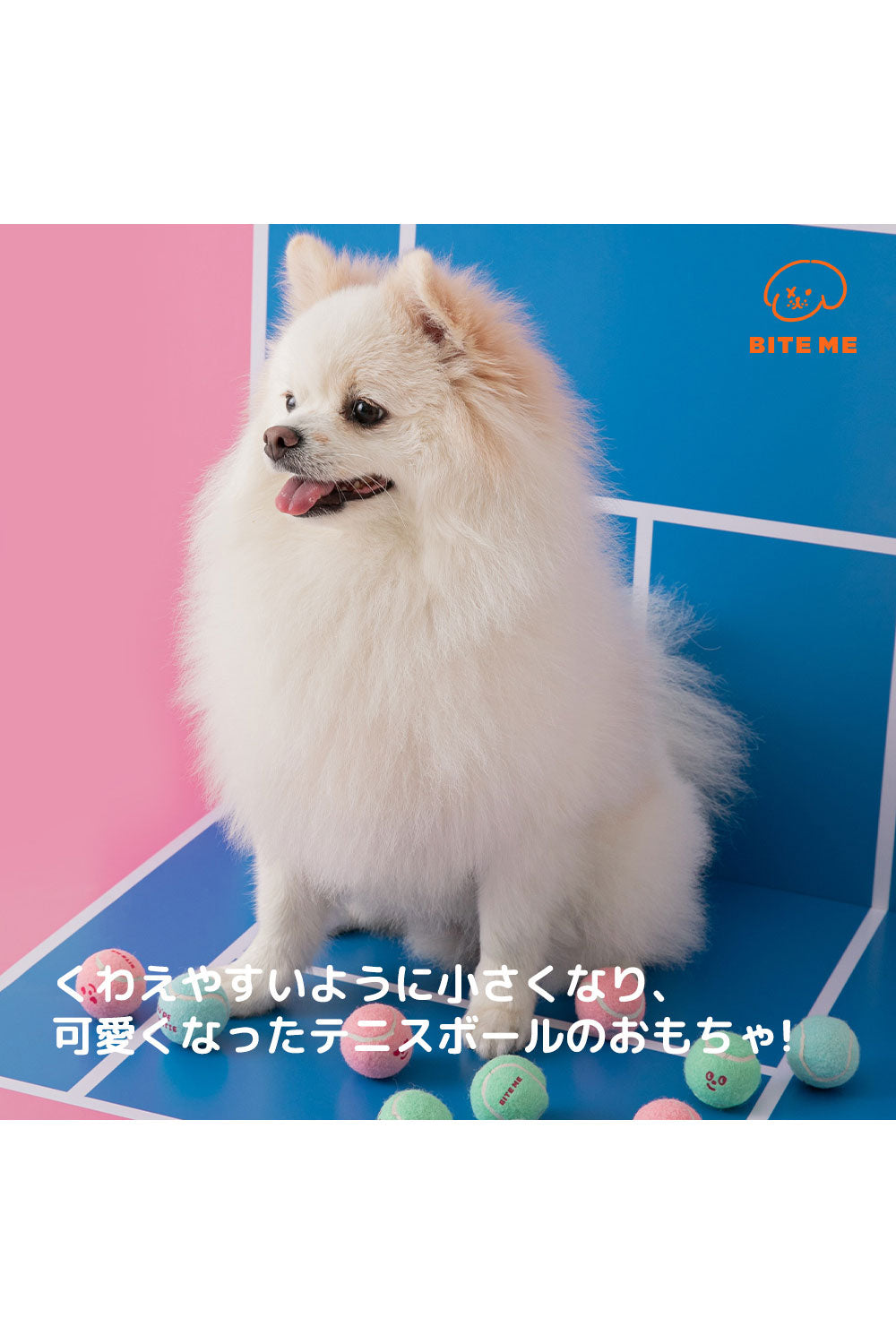 BITE ME ミニテニスボールおもちゃ(3個入り)