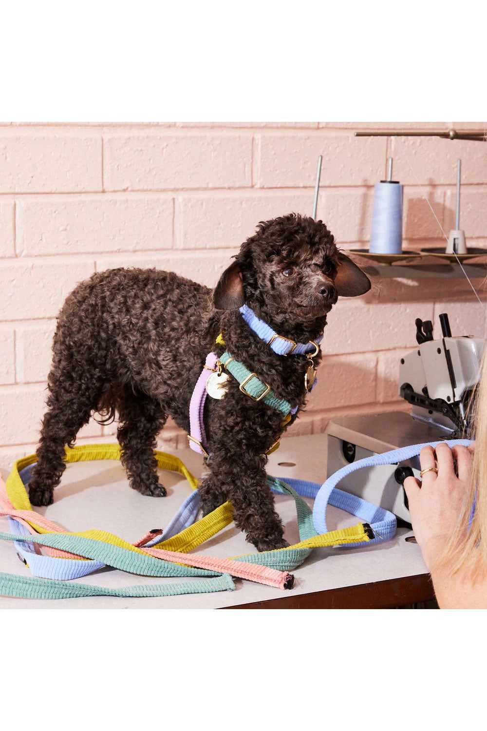 NICE DIGS CORD NON-PULL DOG HARNESS