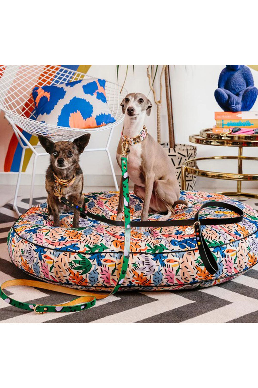 NICE DIGS ANIMAL DOG LEASH