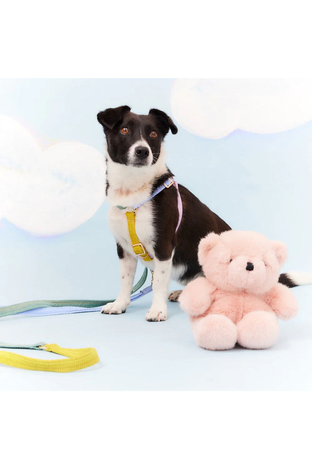 NICE DIGS CORD NON-PULL DOG HARNESS
