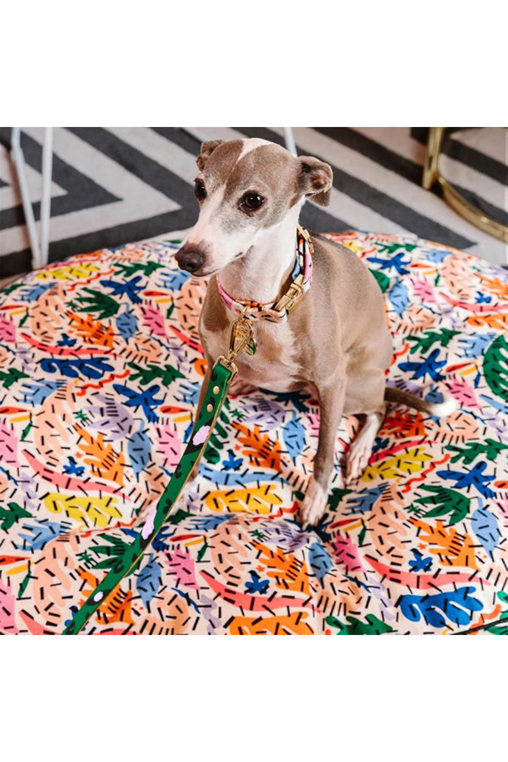 NICE DIGS ANIMAL DOG LEASH