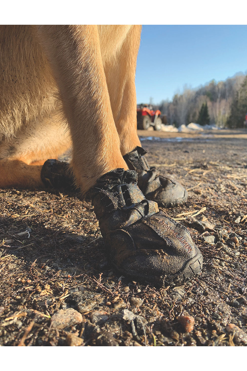 Muttluks Mutt Trackers