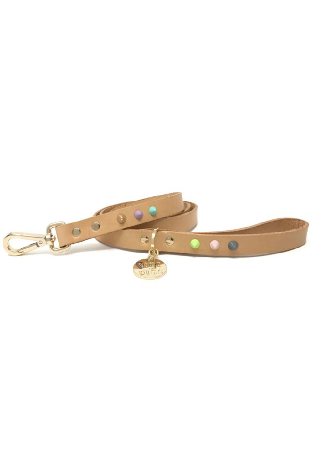 NICE DIGS SMOOTH SPIKE LEATHER DOG LEASH
