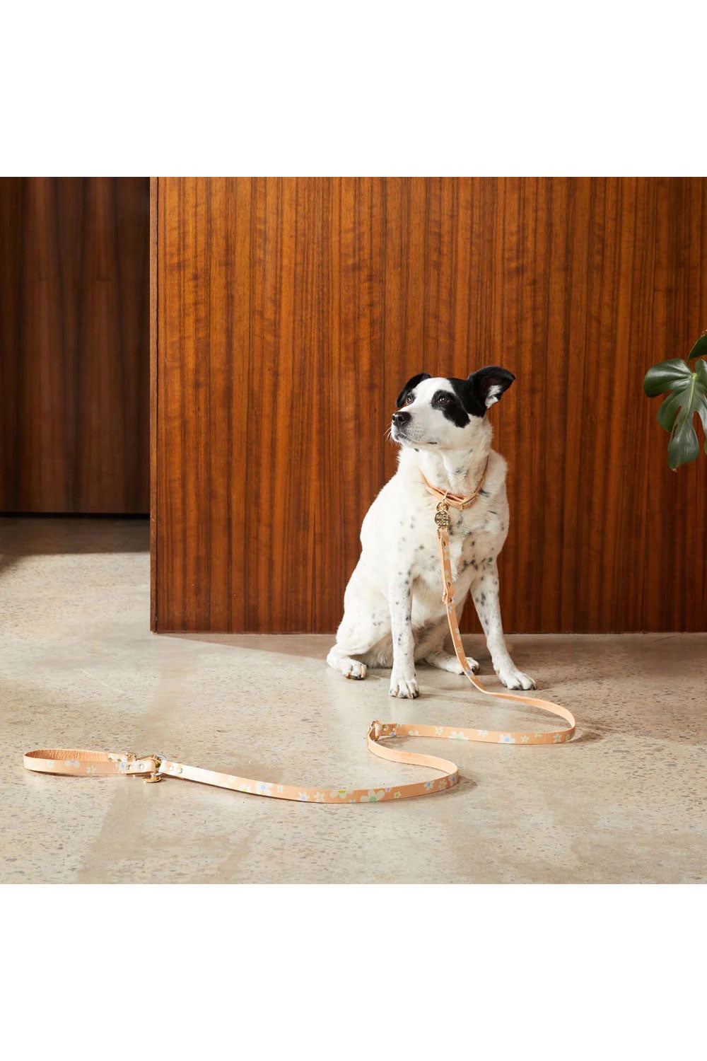 NICE DIGS POSIE LEATHER ADJUSTABLE LEASH
