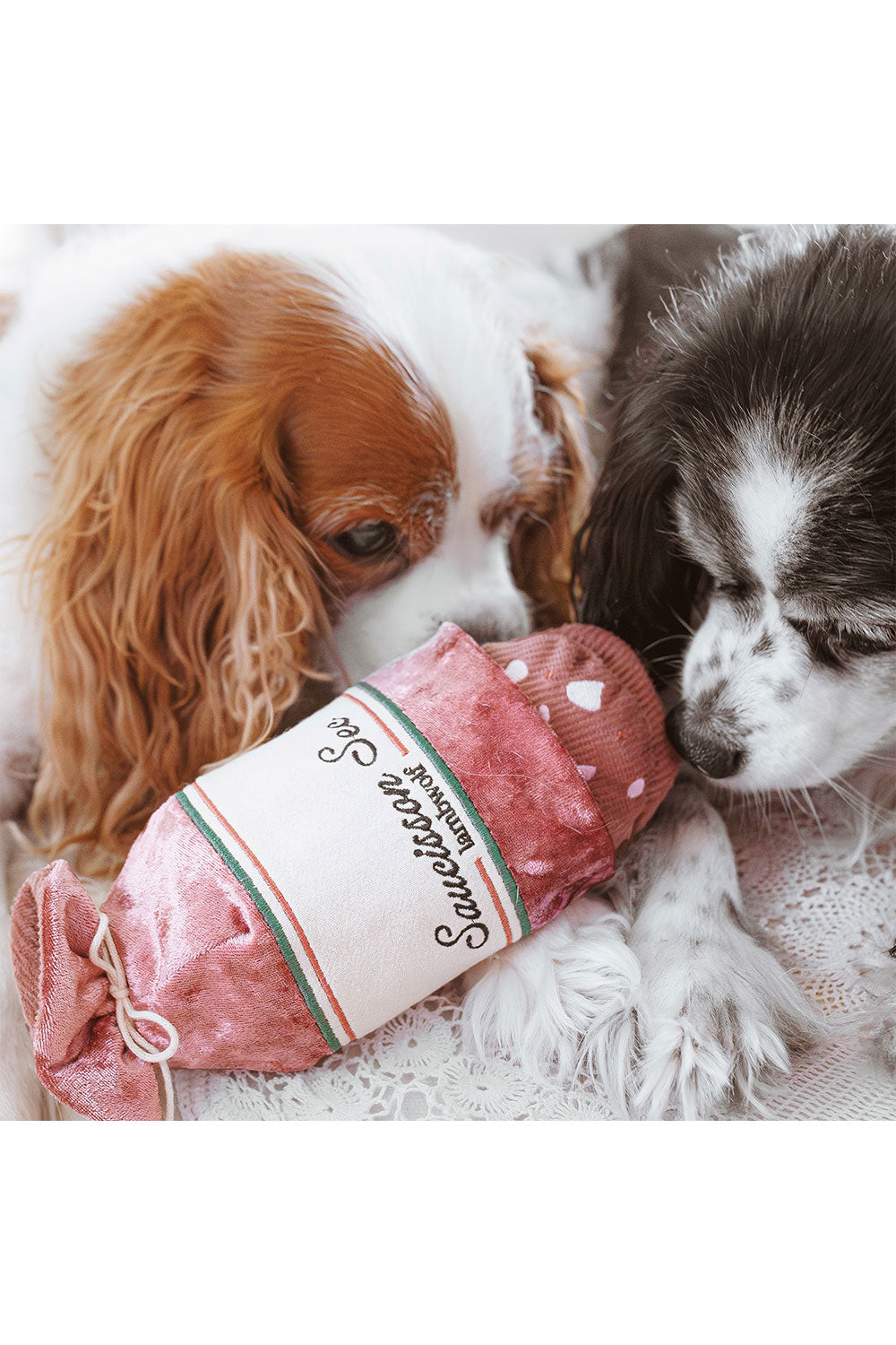 Lambwolf Collective SAUCISSON SEC