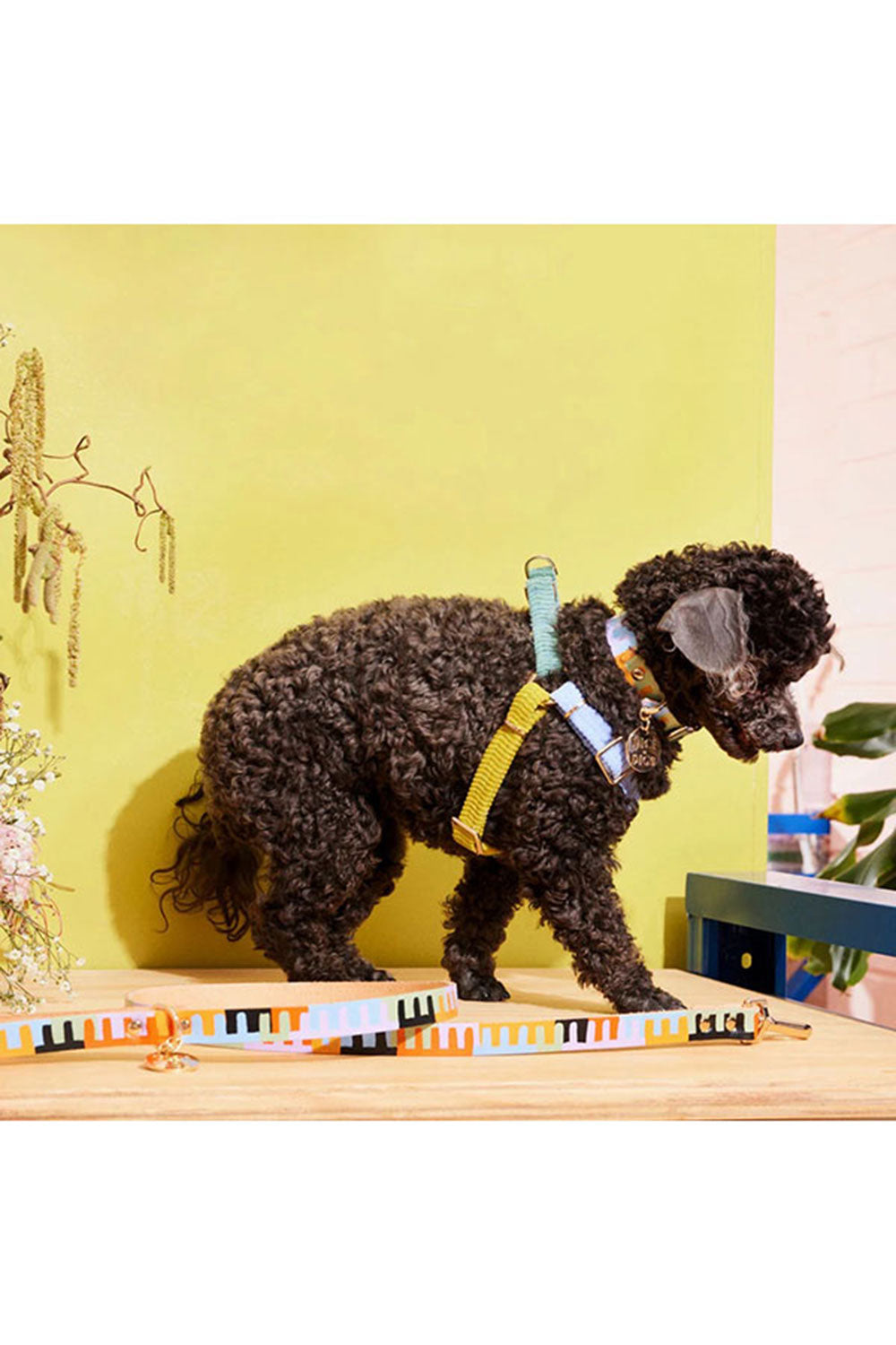 NICE DIGS CORD NON-PULL DOG HARNESS