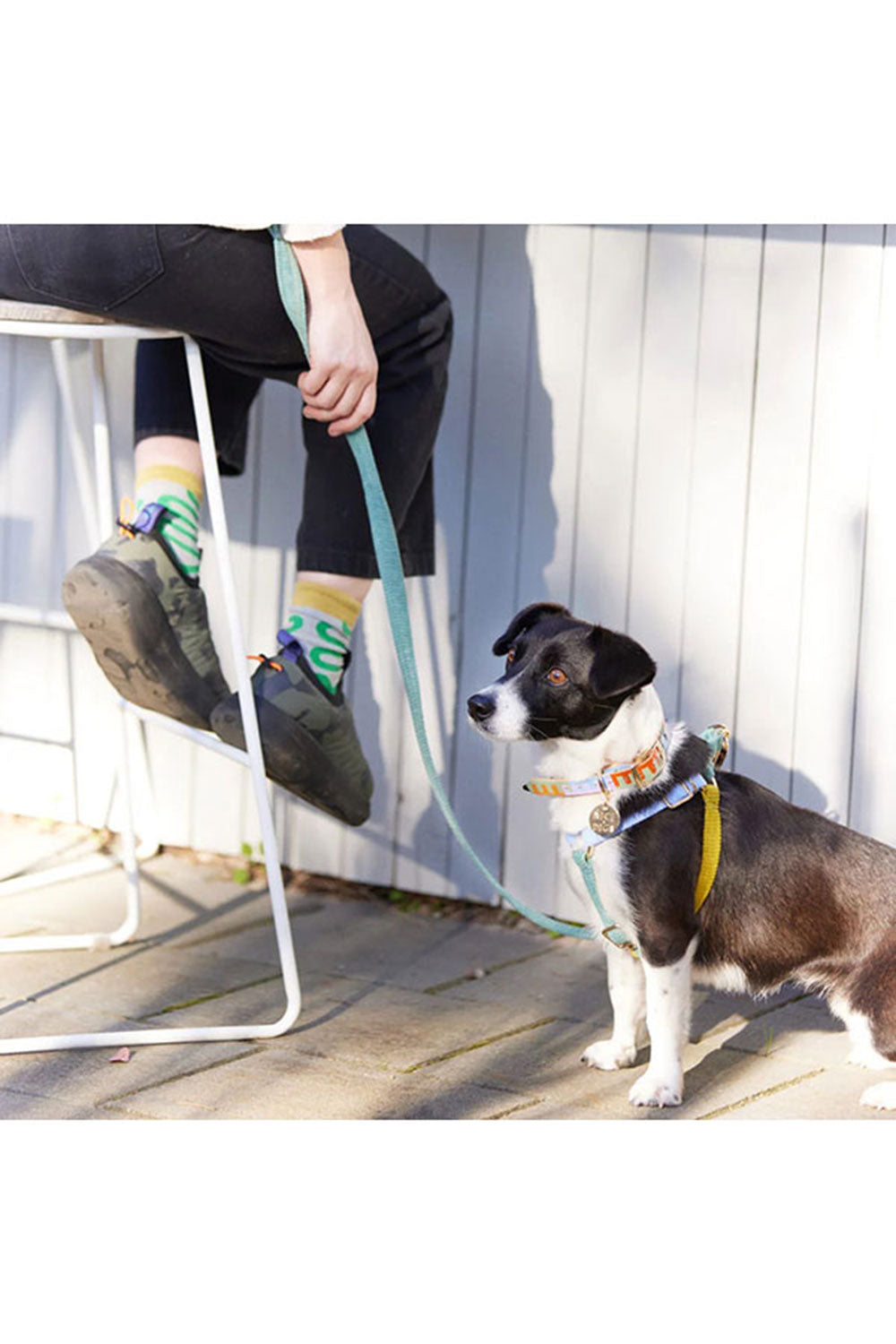 NICE DIGS CORD NON-PULL DOG HARNESS