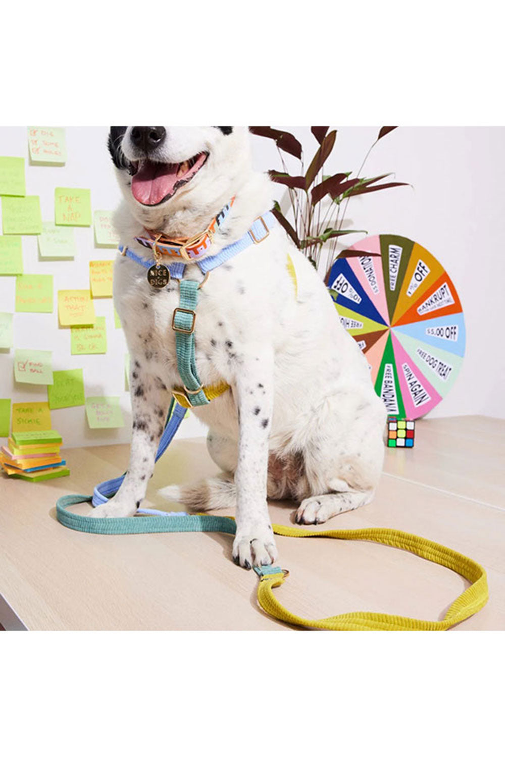 NICE DIGS CORD NON-PULL DOG HARNESS