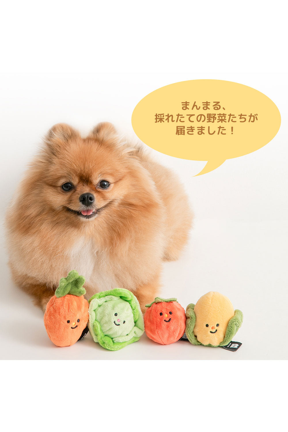 BITE ME 野菜畑ボールおもちゃ(2個セット)-トウモロコシ&ニンジン