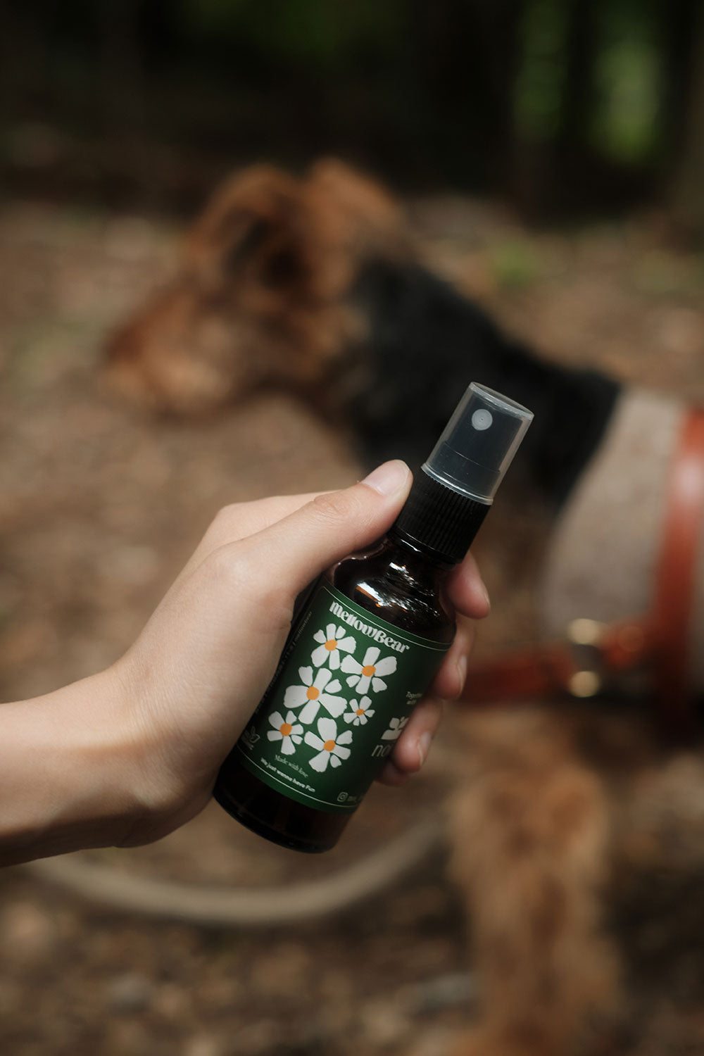 mellowbear OUTDOOR SPRAY お花柄