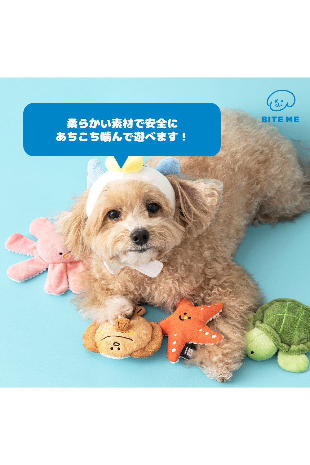 BITE ME 海のお友だちおもちゃ-ヒトデ&カメ