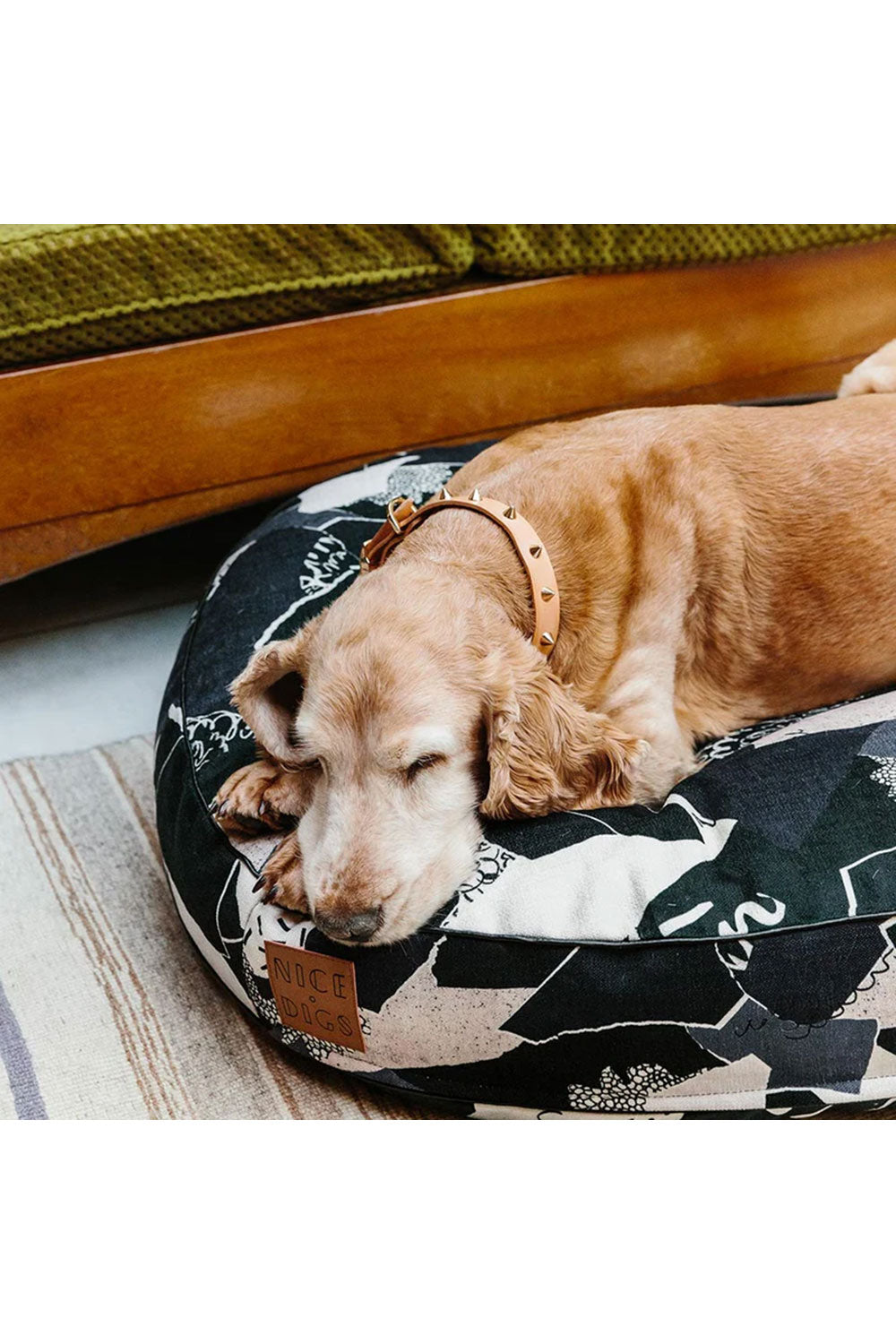 NICE DIGS SMOOTH SPIKE LEATHER DOG COLLAR