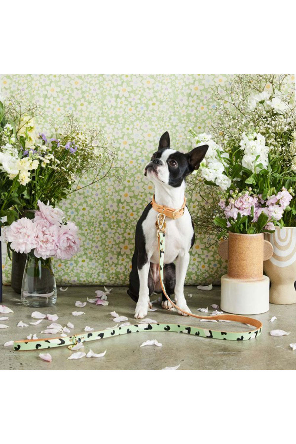 NICE DIGS ANIMAL DOG LEASH