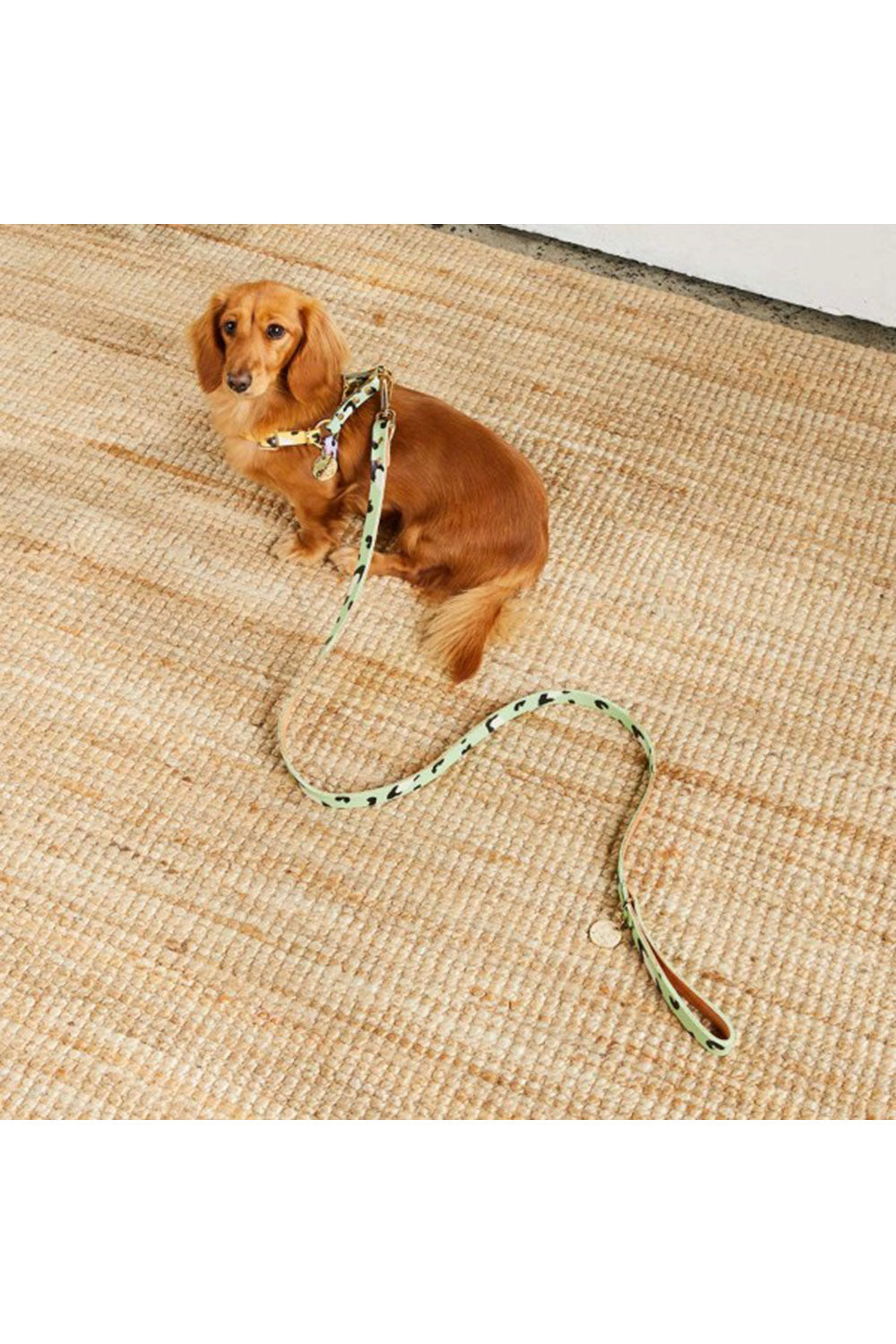 NICE DIGS ANIMAL DOG LEASH