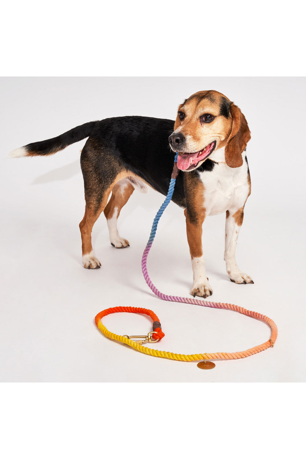 FOUND MY ANIMAL OMBRE COTTON ROPE DOG LEASH, ADJUSTABLE