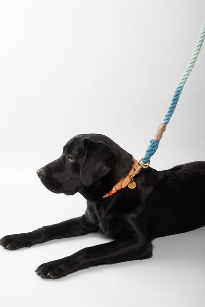 FOUND MY ANIMAL UP-CYCLED ROPE CAT & DOG COLLAR - NANTUCKET
