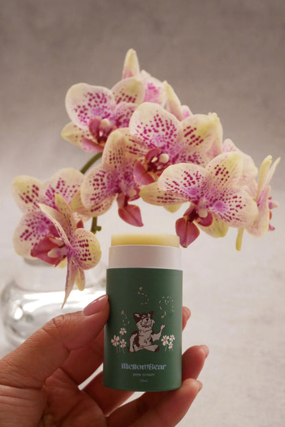mellowbear 肉球保護バーム Bee my honey - Green