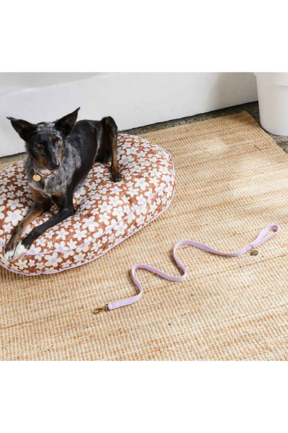 NICE DIGS CORD DOG LEASH