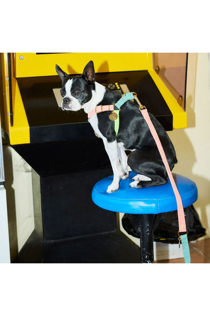 NICE DIGS CORD ADJUSTABLE DOG LEASH