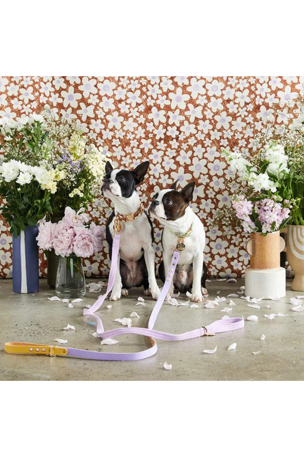 NICE DIGS CORD DOG LEASH