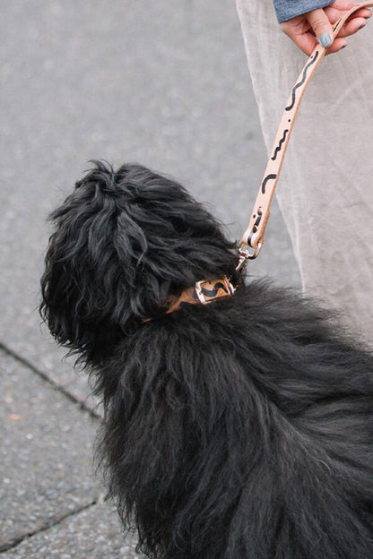 NICE DIGS ZIGGY DOG COLLAR