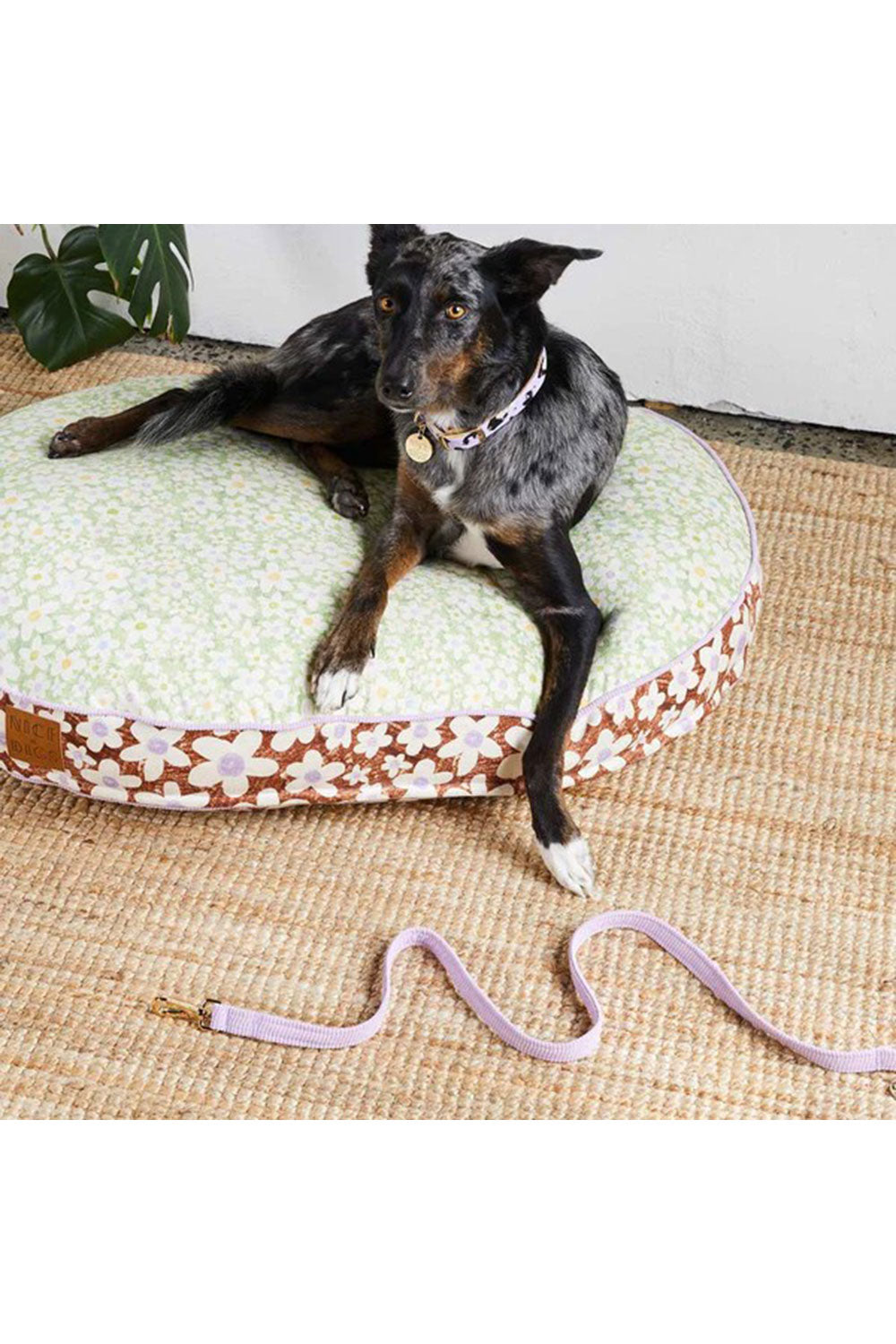 NICE DIGS CORD DOG LEASH