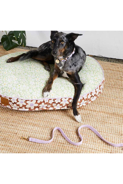NICE DIGS CORD DOG LEASH