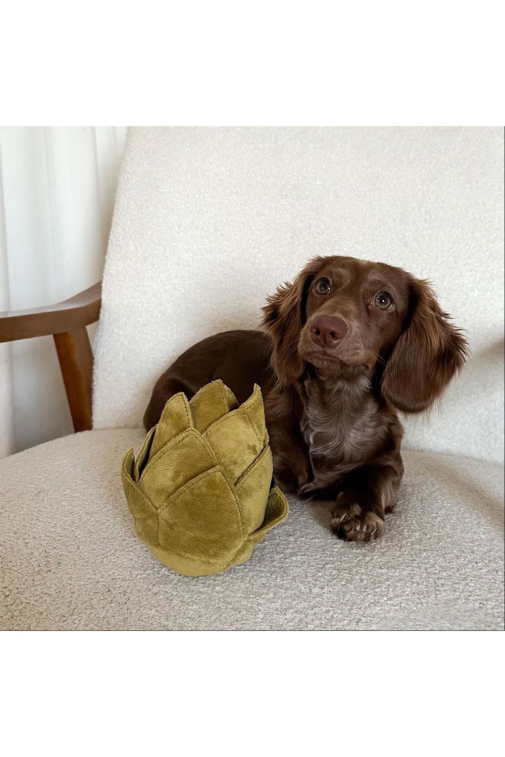 Lambwolf Collective ARTICHOKE