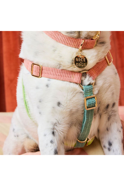 NICE DIGS CORD NON-PULL DOG HARNESS