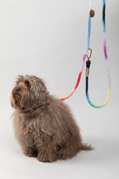 FOUND MY ANIMAL OMBRE COTTON ROPE DOG LEASH, ADJUSTABLE