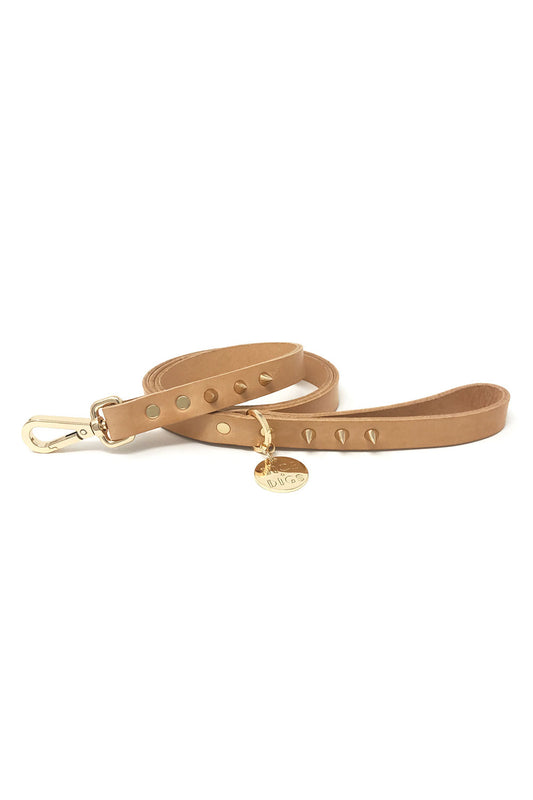 NICE DIGS SMOOTH SPIKE DOG LEASH