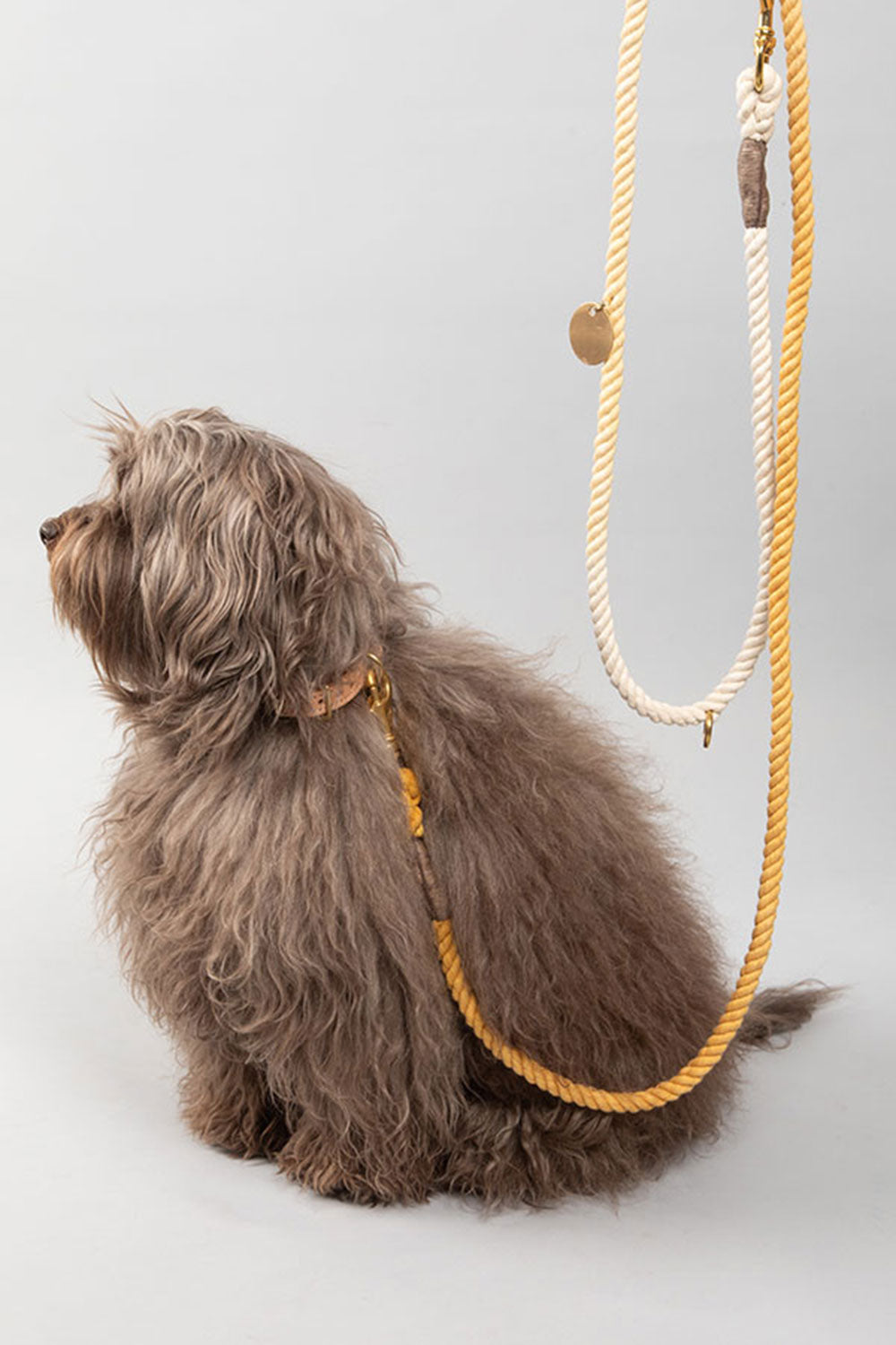 FOUND MY ANIMAL COTTON ROPE DOG LEASH, BOLT SNAPS, ADJUSTABLE - NAVY