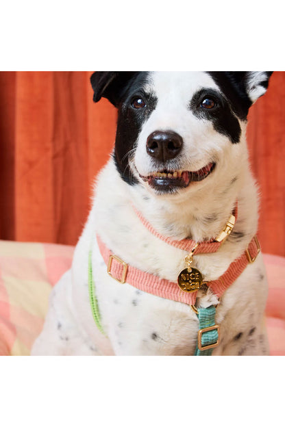 NICE DIGS CORD NON-PULL DOG HARNESS