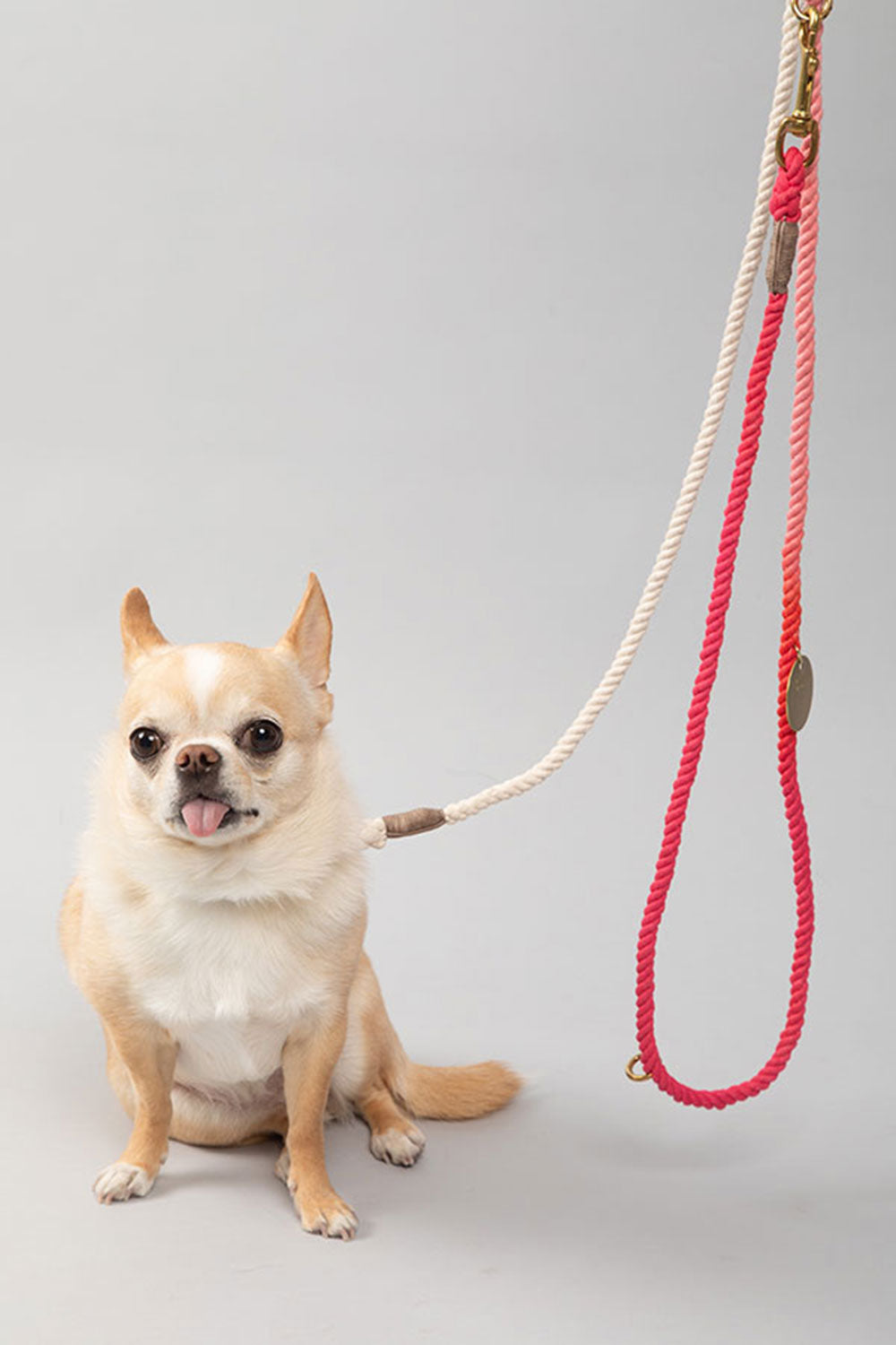 FOUND MY ANIMAL COTTON ROPE DOG LEASH, BOLT SNAPS, ADJUSTABLE - COTTON CANDY