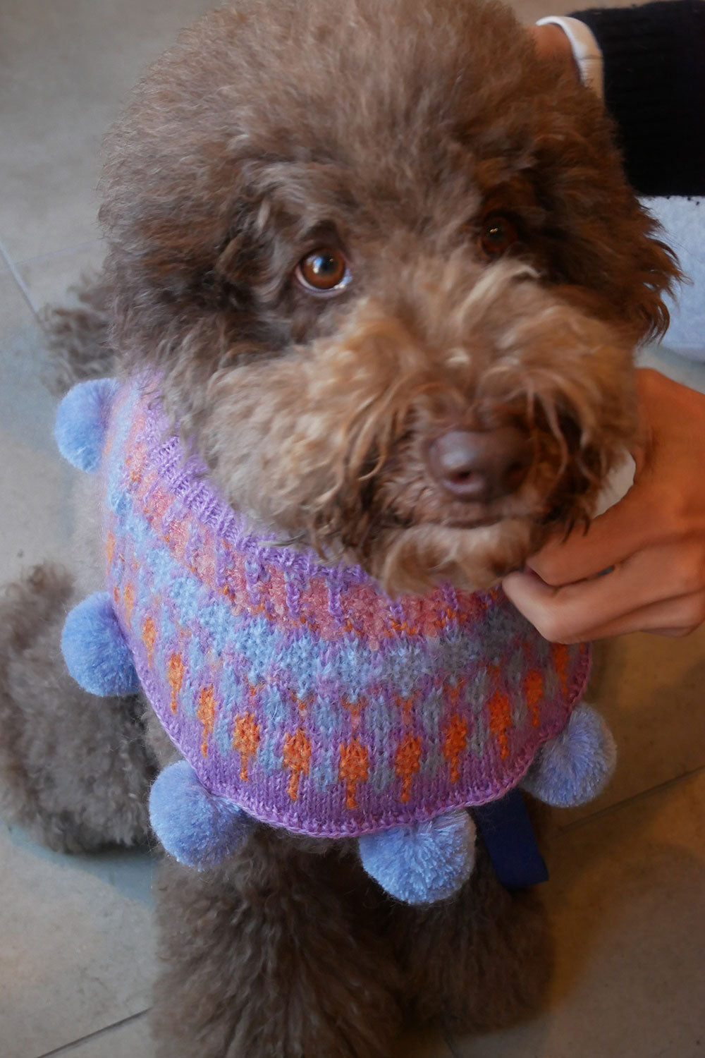 mellowbear I think I look goood ぽんちょ　　