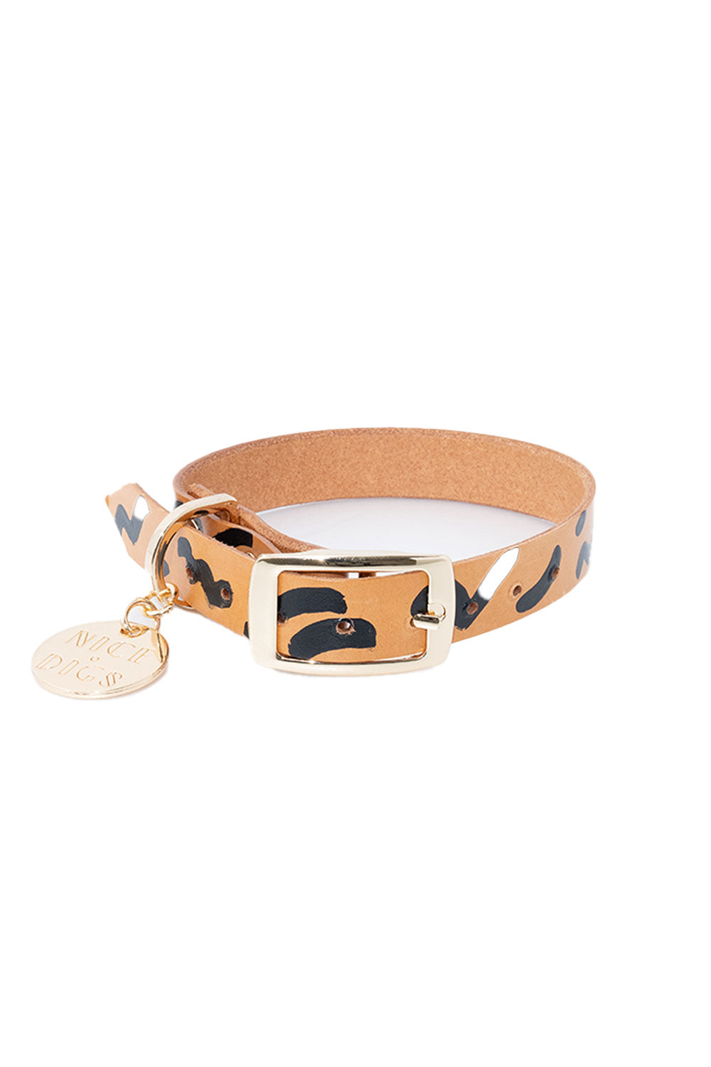 NICE DIGS ZIGGY DOG COLLAR