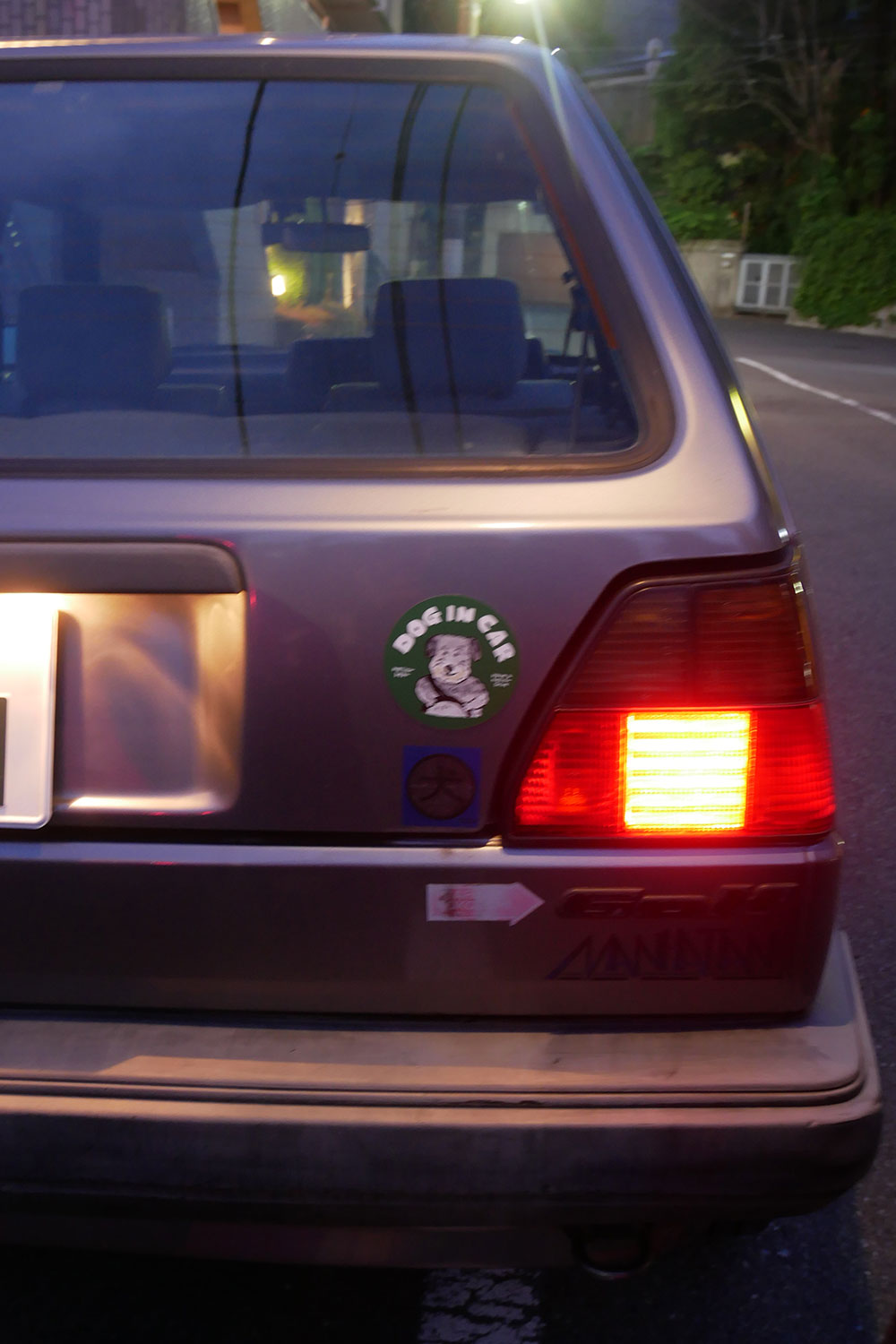 mellowbear DOG IN CAR magnet