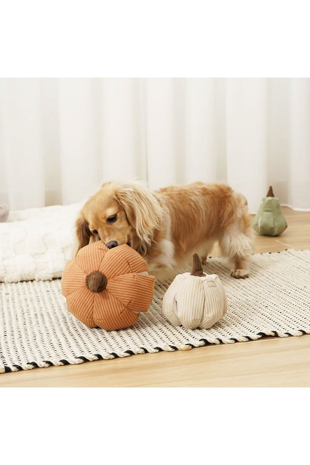 Lambwolf Collective CINDERELLA