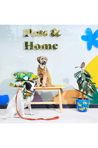NICE DIGS CORD DOG LEASH