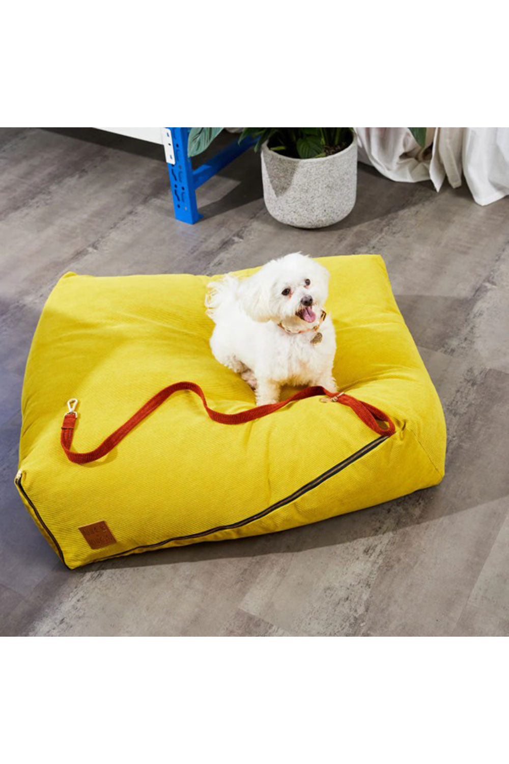 NICE DIGS CORD DOG LEASH