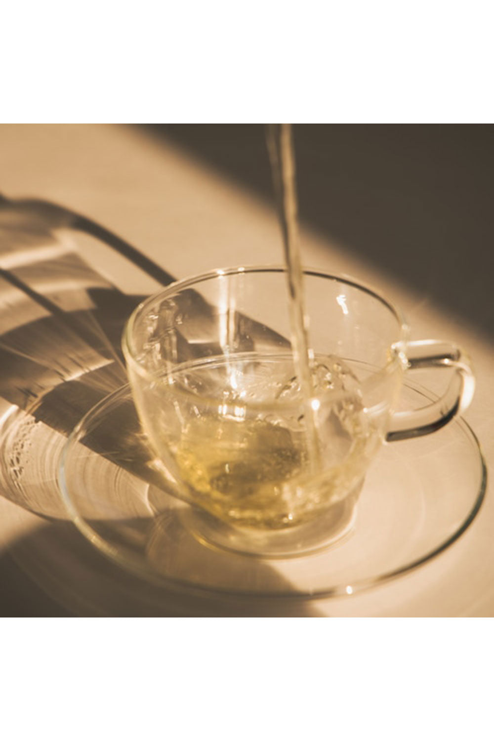 <O SKIN＆HAIR>HERB TEA／SUN & MOON