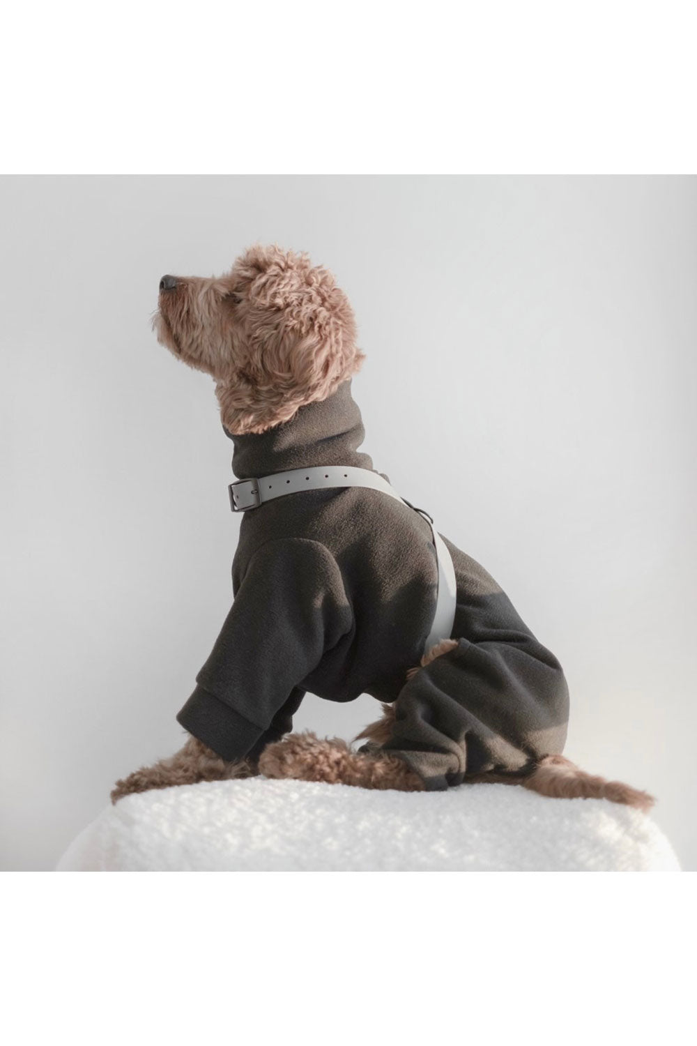 Lambwolf Collective OTTO