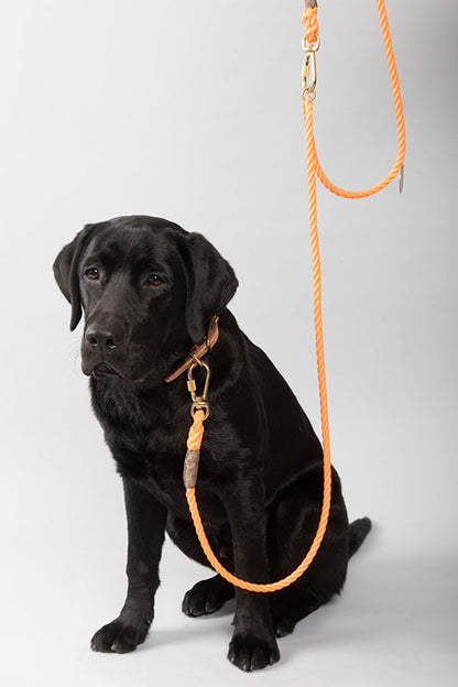 FOUND MY ANIMAL NYLON ROPE DOG LEASH, ADJUSTABLE - NAVY