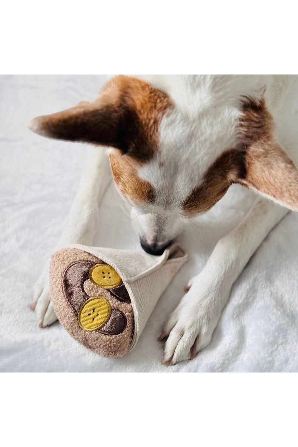 Lambwolf Collective CREPE